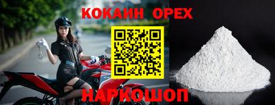 дмт Будённовск