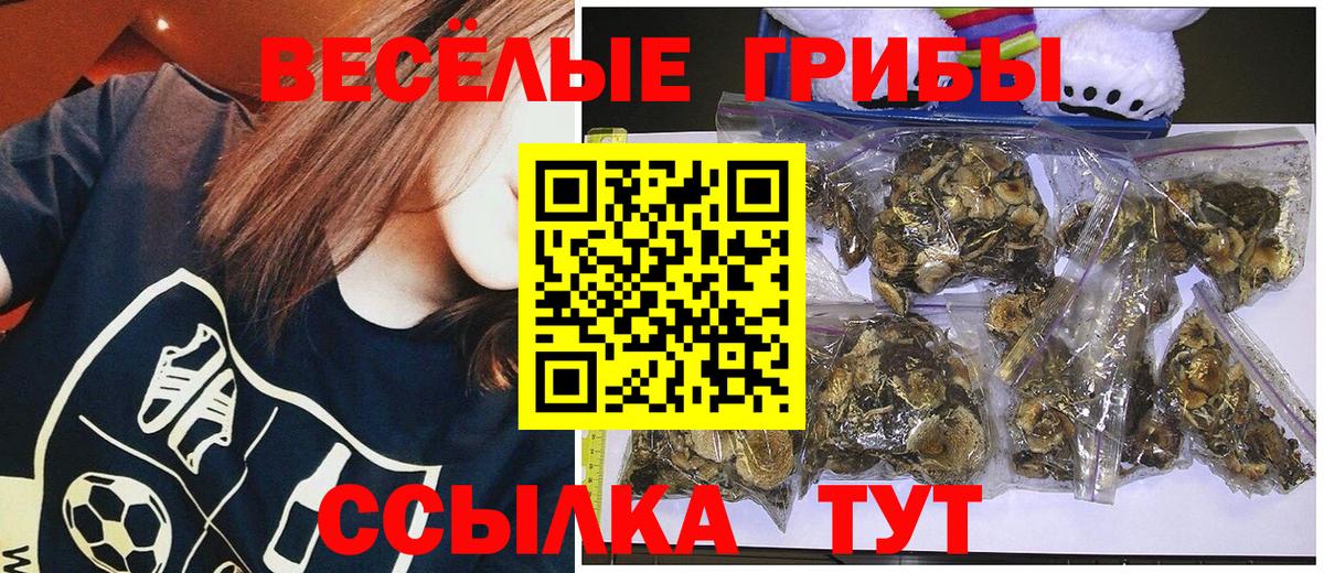 Псилоцибиновые грибы Cubensis  Псилоцибиновые грибы Psilocybe  Вход с VPN  Сызрань 
